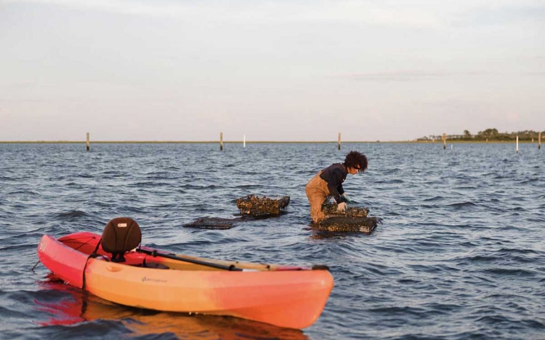 Ipsum dolor sit amet, consectetur adipiscing elit,